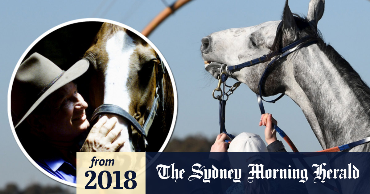 The worldfamous horse whisperer who says he can save Chautauqua's career